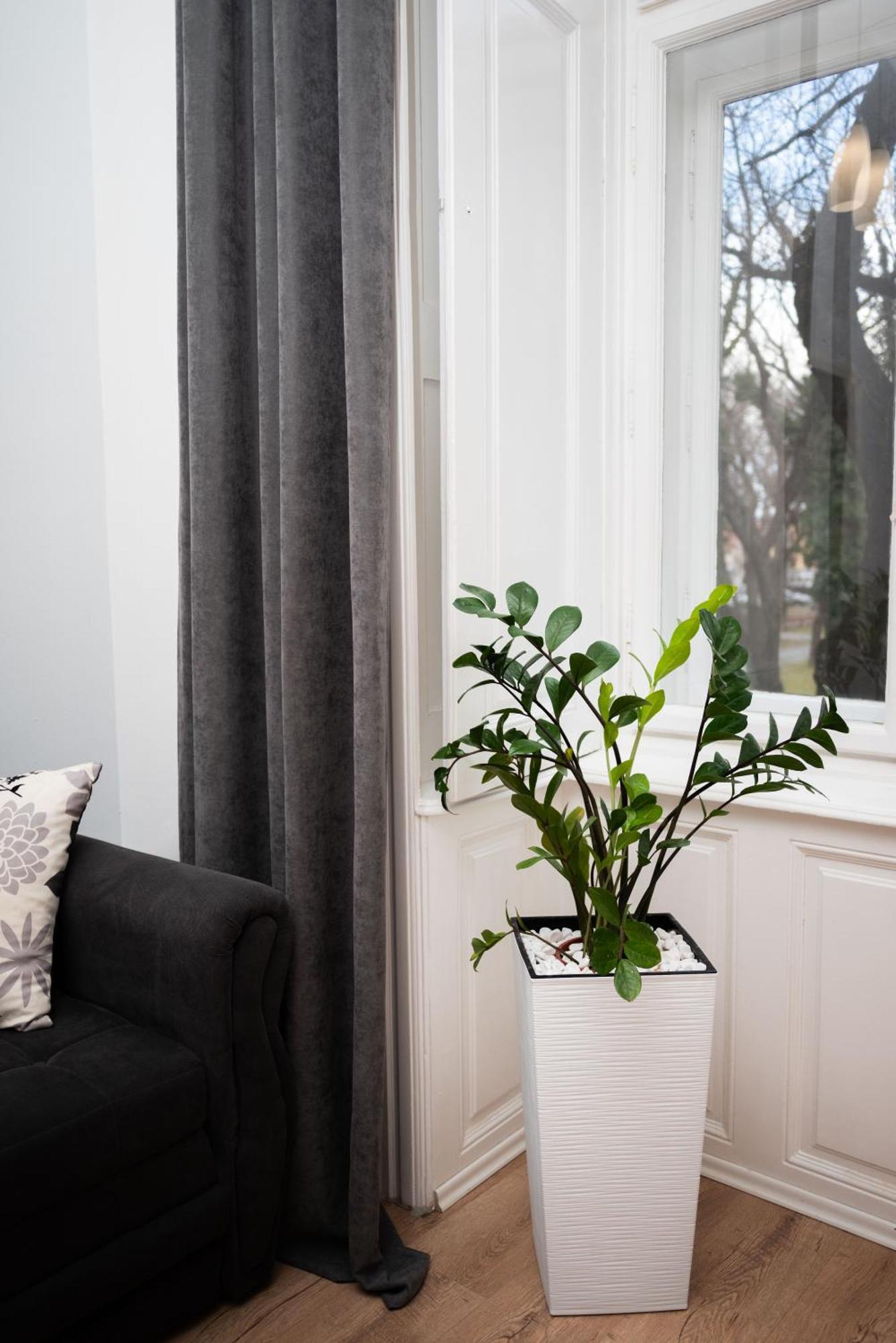 Apartment Hygge ซูโบติกา ภายนอก รูปภาพ